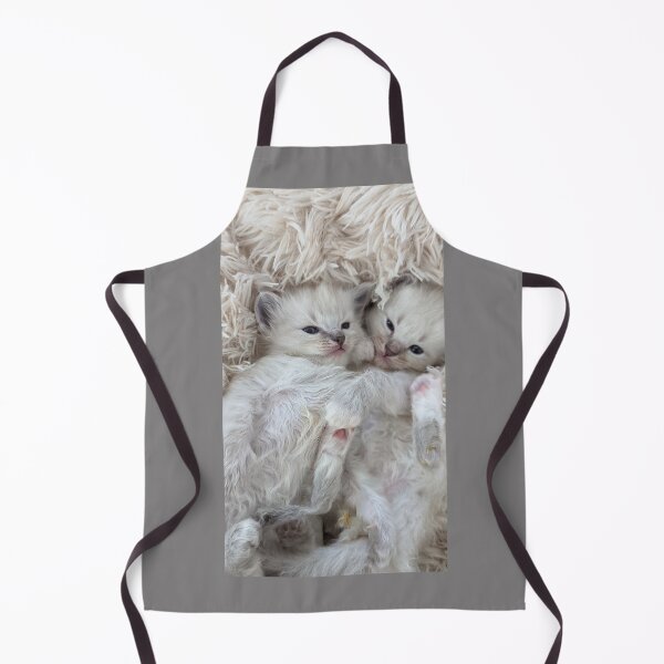 Item preview, Ragdoll twin kittens designed and sold by Fluffycat2020.
