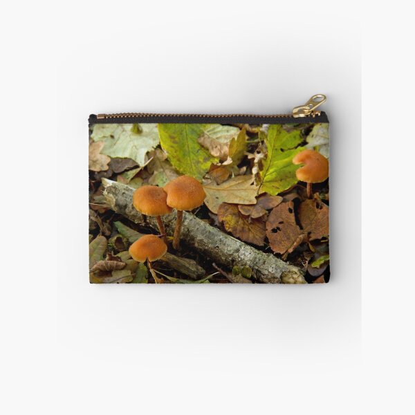 Item preview, Deceiver Fungus designed and sold by Sue Robinson.