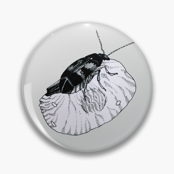 Item preview, Female cowpea beetle, Callosobruchus maculatus, on a cowpea with eggs and emergence hole designed and sold by EmilyJaneArt.