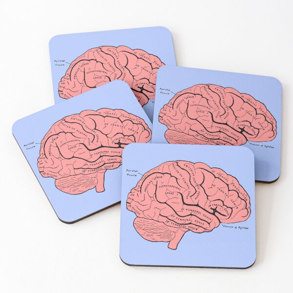 Item preview, brain anatomy - c designed and sold by --Camiila--.