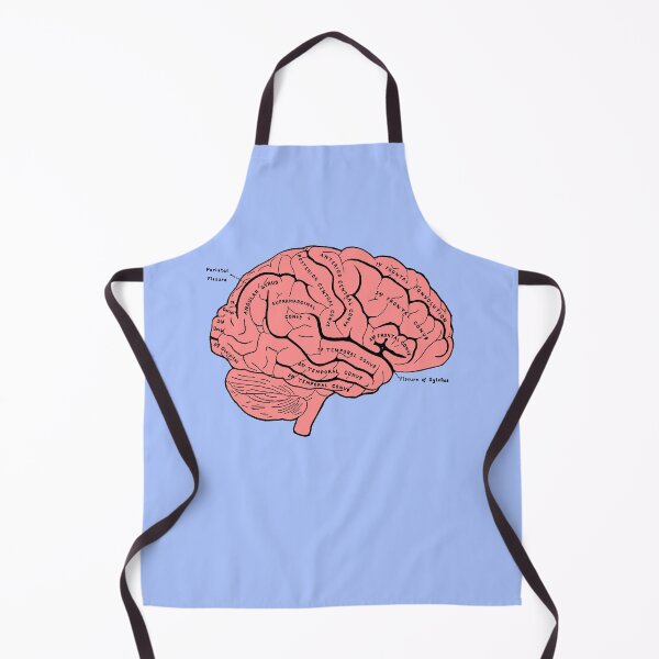 Item preview, brain anatomy - c designed and sold by --Camiila--.