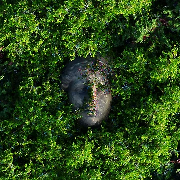 Artwork thumbnail, Spring by Embigo