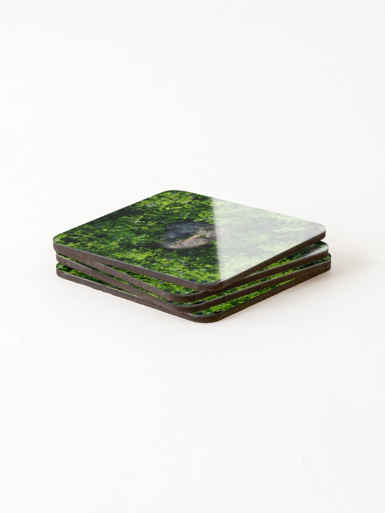 Thumbnail 4 of 5, Coasters (Set of 4), Spring designed and sold by Embigo.
