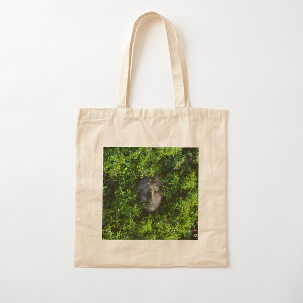 Item preview, Spring designed and sold by Embigo.