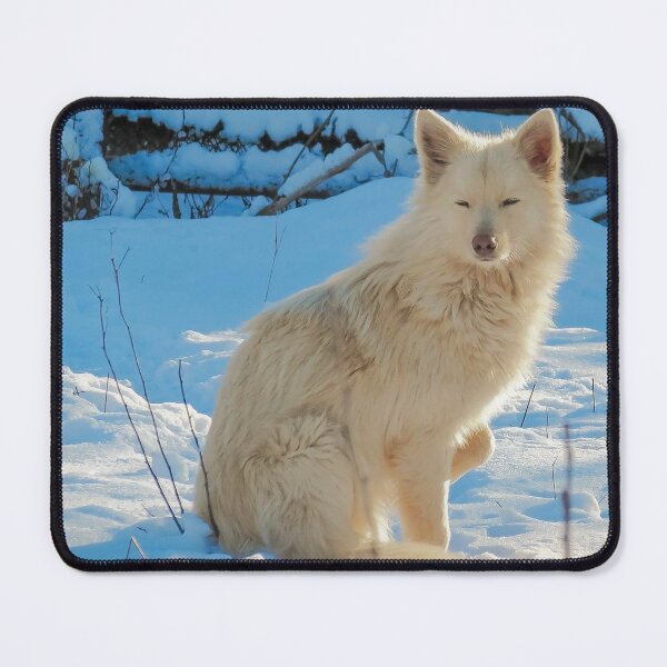 Item preview, Bonito lobo blanco en la nieve designed and sold by BtheLight.