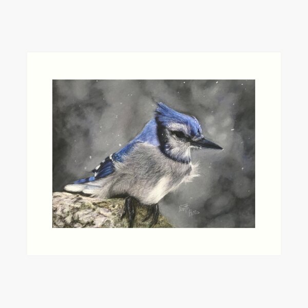 Gift Sticker : Blue Jay Bird Lover Cute Decor Birdism Watcher