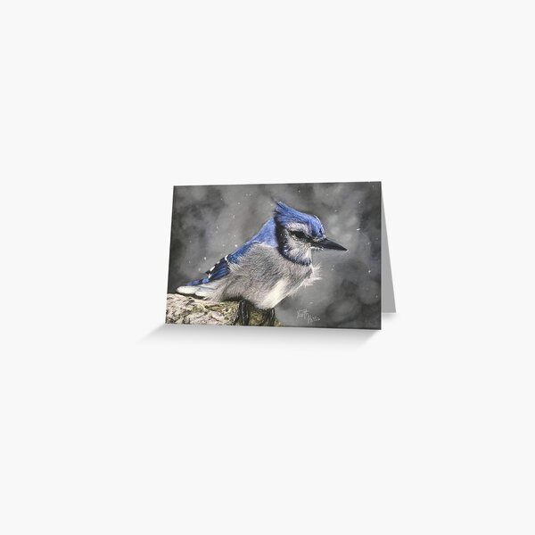 Item preview, Blue jay in winter | bird lover designed and sold by NathBros.