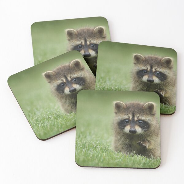 Item preview, Cute Baby Raccoon Animal designed and sold by TheWildFlix.