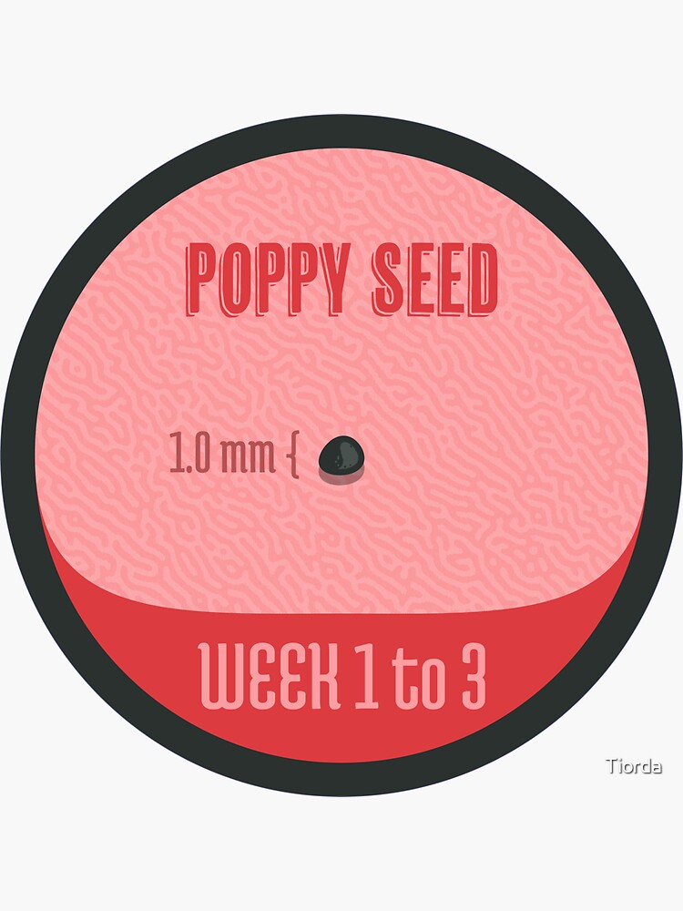 "Pregnancy Milestone Tracker Badge Week 1 to 3 size comparison Poppy