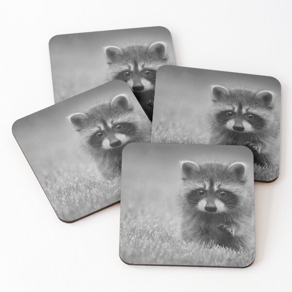 Item preview, Black and White Cute Baby Raccoon Animal designed and sold by TheWildFlix.