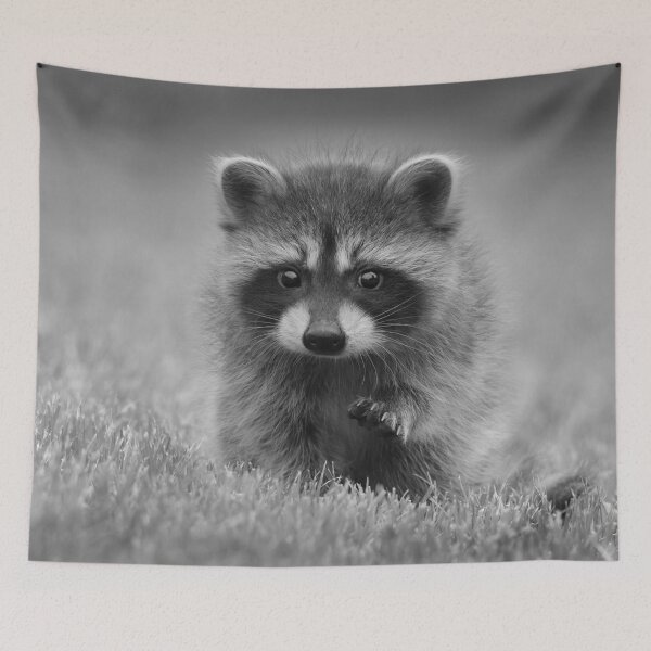 Item preview, Black and White Cute Baby Raccoon Animal designed and sold by TheWildFlix.