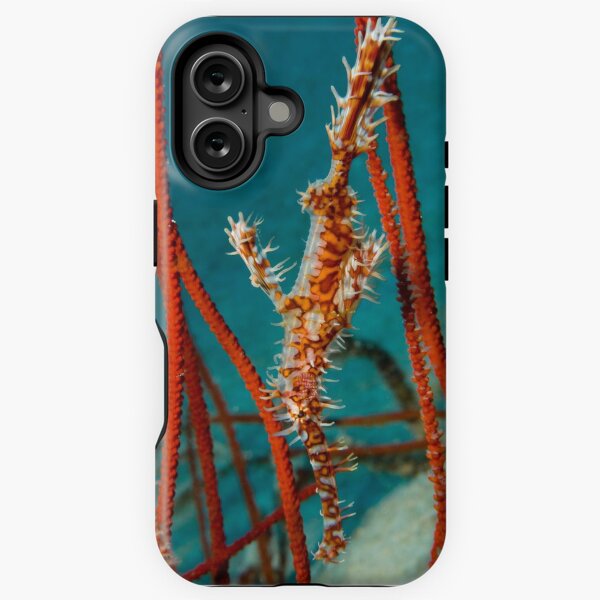 Item preview, Harlequin Ghost Pipefish, Kimbe Bay, Papua New Guinea designed and sold by Erik Schlogl.