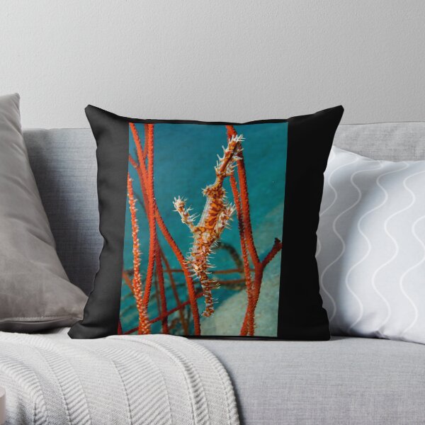 Harlequin Ghost Pipefish, Kimbe Bay, Papua New Guinea Throw Pillow