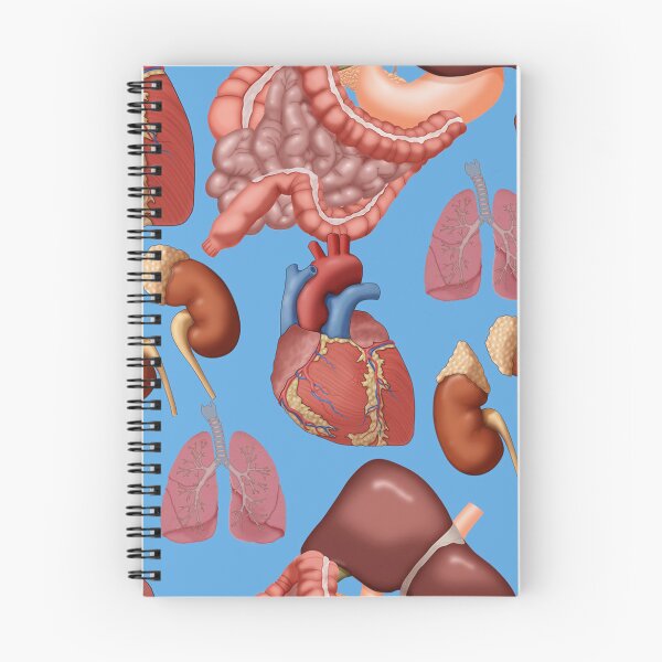 Item preview, Whimsical Funny Illustration of Body Parts Anatomy designed and sold by ScienceSource.