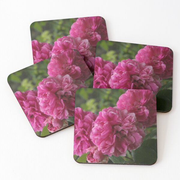 Item preview, Heirloom Roses in Pink designed and sold by tomorrowsart.