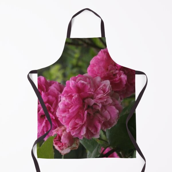 Aperçu de l'œuvre Roses anciennes en rose créée et vendue par tomorrowsart.