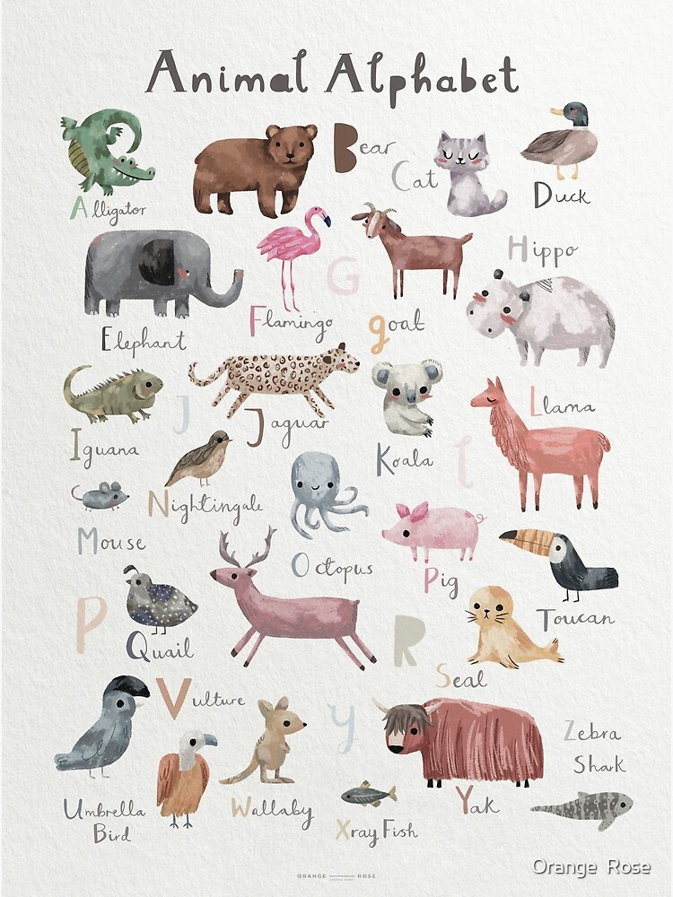 Animal Alphabet