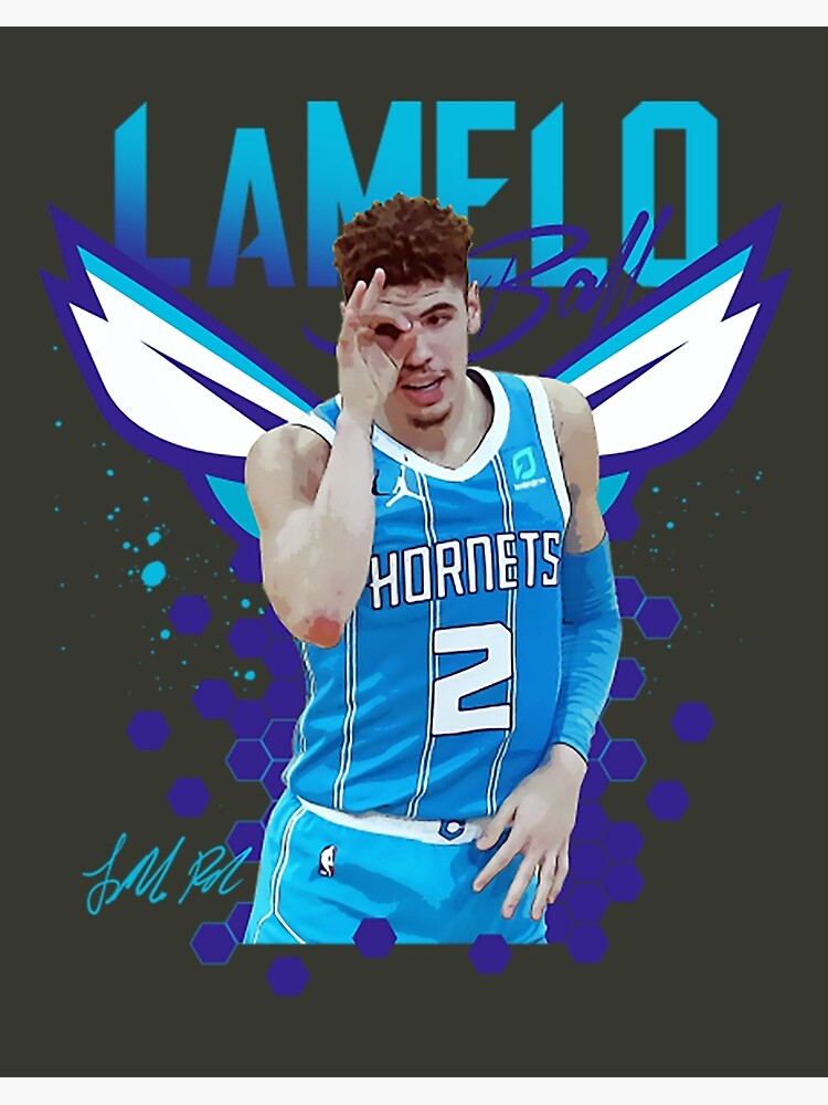 Lonzo Ball & LiAngelo Ball JOIN THE CHARLOTTE HORNETS WITH LaMelo