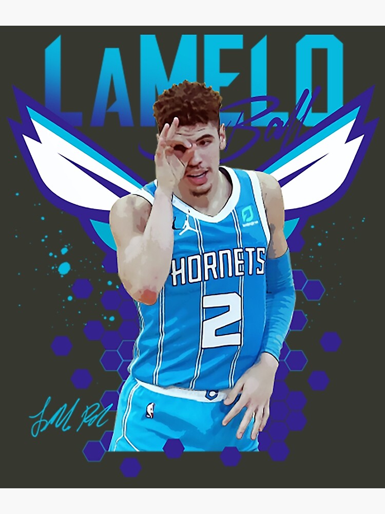 lamelo ball charlotte hornets  Lebron james championship, Nba jersey,  Jersey outfit