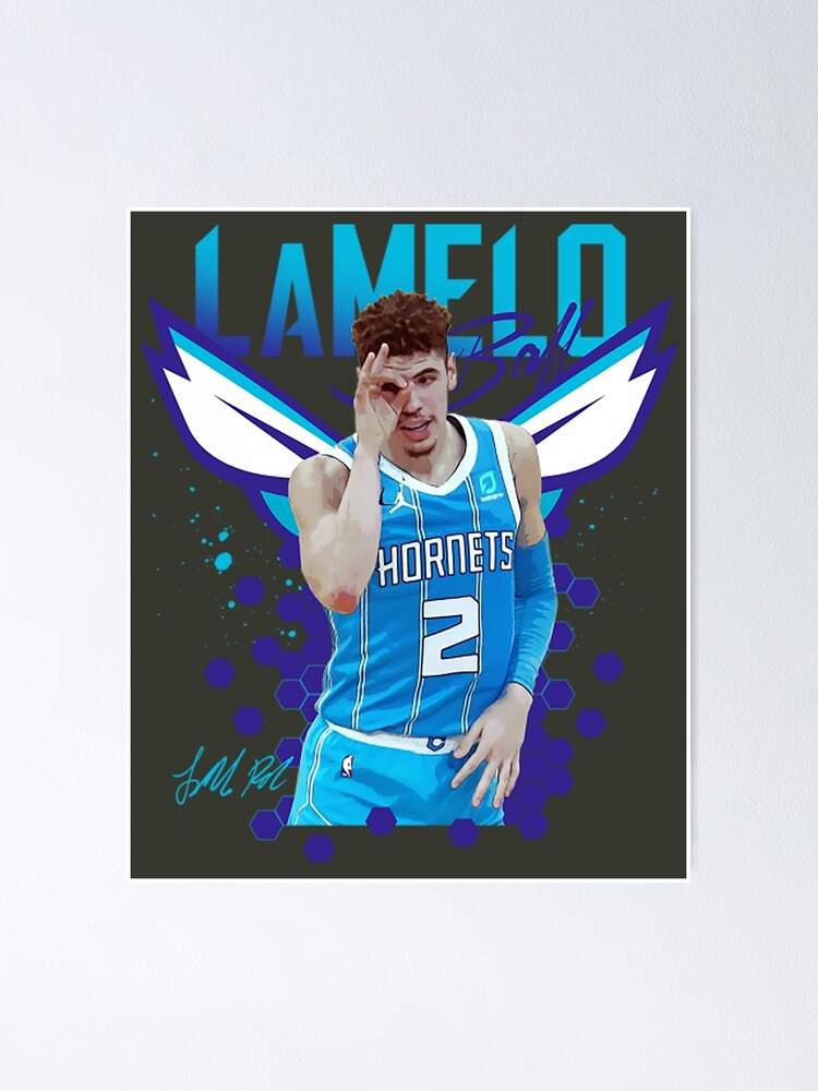 Adult Large Stitched Lamelo Ball Hornets Jersey