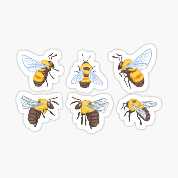 Bumblebees - Rusty-patched and Eastern Sticker