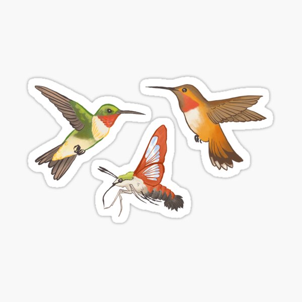 Item preview, Hummingbirds - Ruby-throated, Clearwing, Rufous designed and sold by Prairie Friends for You and Your Home.