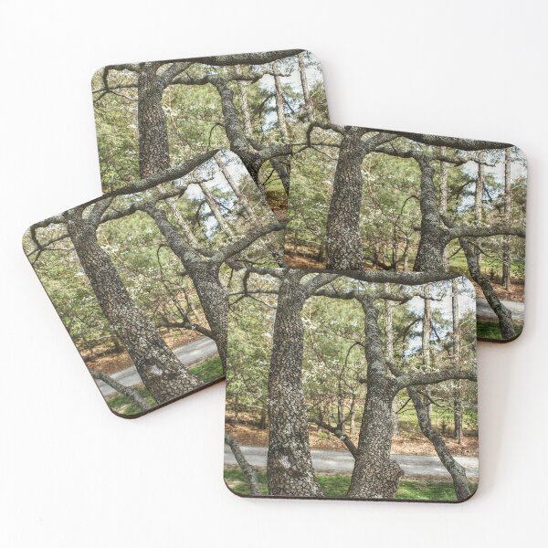 Item preview, Branching Out designed and sold by SarahEL17.