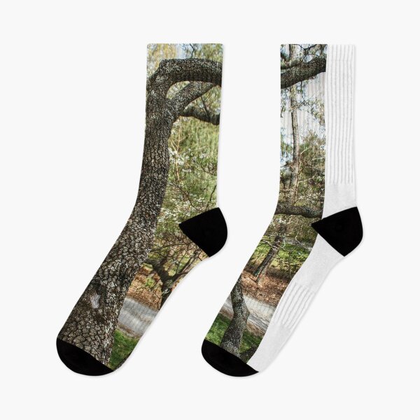 Item preview, Branching Out designed and sold by SarahEL17.