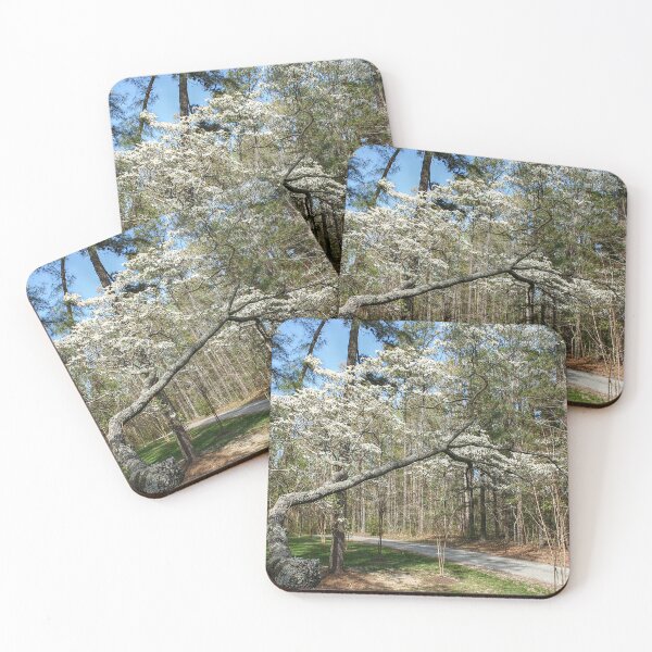 Item preview, Just Past the Flowering Dogwood designed and sold by SarahEL17.