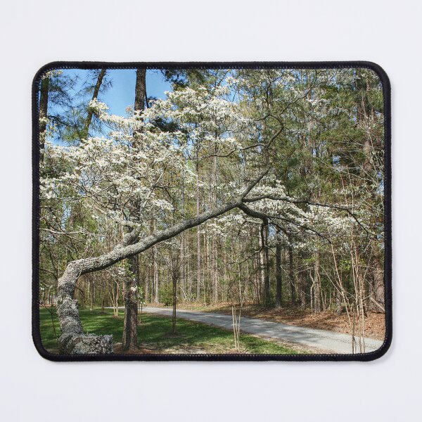 Item preview, Just Past the Flowering Dogwood designed and sold by SarahEL17.