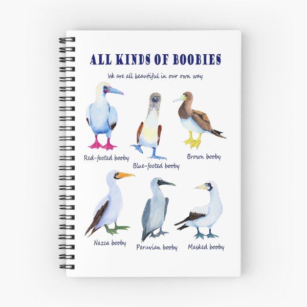 Item preview, All kinds of Boobies, birds designed and sold by KyaKnightDesign.