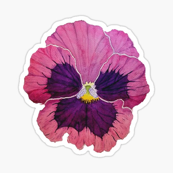 Pegatinas: Flor Del Pensamiento | Redbubble Pegatinas: Flor Del Pensamiento | Redbubble