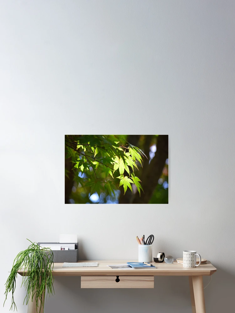 Thumbnail 2 of 3, Poster, Maple Nostalgia designed and sold by Tracy Engle.