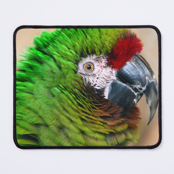 Item preview, Military Macaw designed and sold by Laurie Minor.