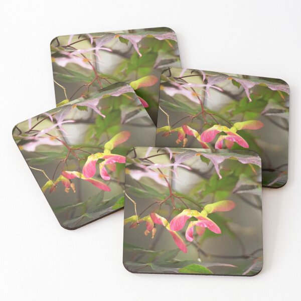 Item preview, Maple Seeds designed and sold by Tracy Engle.