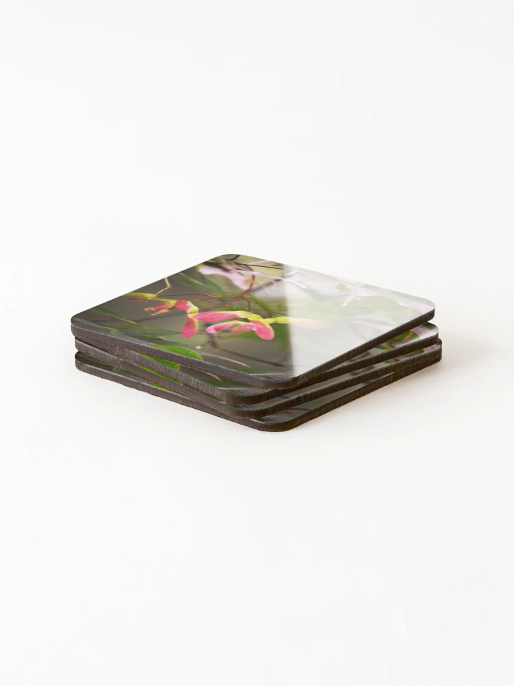 Thumbnail 4 of 5, Coasters (Set of 4), Maple Seeds designed and sold by Tracy Engle.