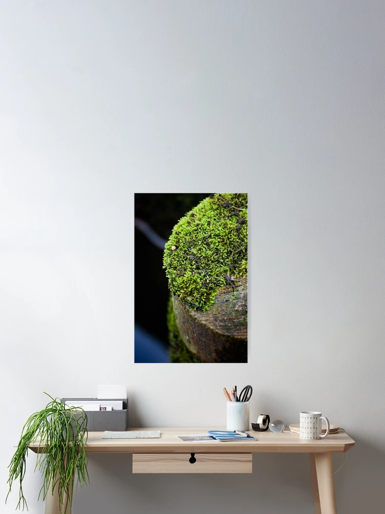 Thumbnail 2 of 3, Poster, Moss Stump designed and sold by Tracy Engle.
