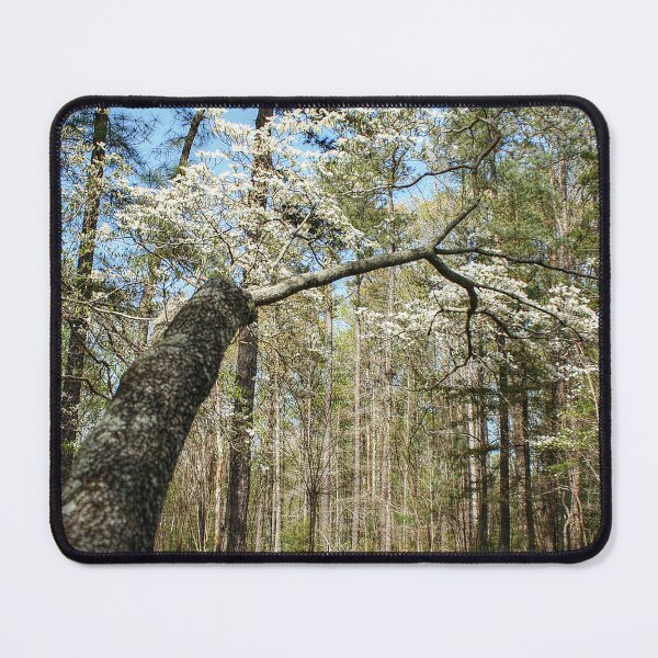 Item preview, Beyond the Dogwood and Down the Road designed and sold by SarahEL17.