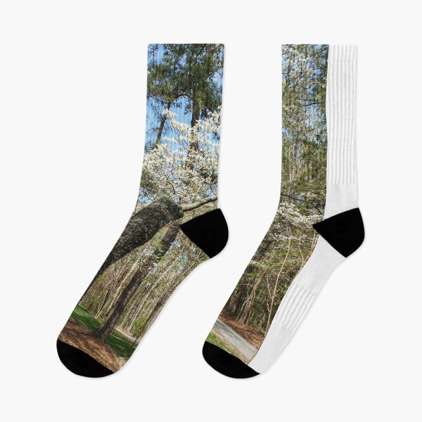 Item preview, Beyond the Dogwood and Down the Road designed and sold by SarahEL17.