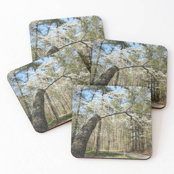 Item preview, Beyond the Dogwood and Down the Road designed and sold by SarahEL17.