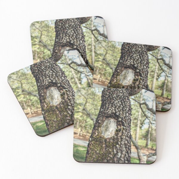 Item preview, Moss-Covered Branches designed and sold by SarahEL17.