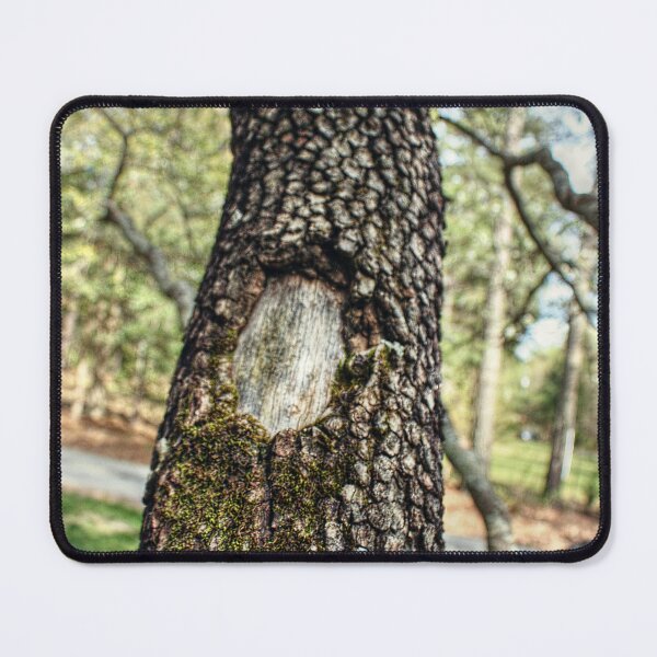 Item preview, Moss-Covered Branches designed and sold by SarahEL17.