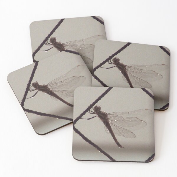 Item preview, "Of Air and Water" art on video frame designed and sold by TeaMugPhrases.