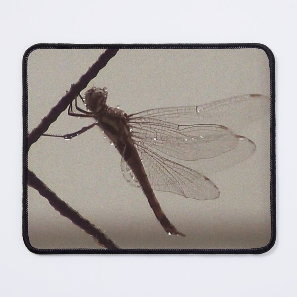 Item preview, "Of Air and Water" art on video frame designed and sold by TeaMugPhrases.