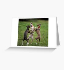 Wog Dogs Dancing Greeting Card