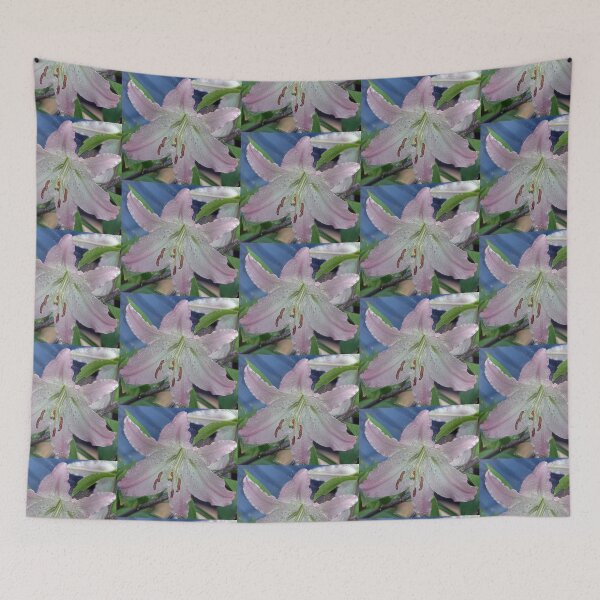 Item preview, Preserved Lily................Dorset UK designed and sold by lynn carter.