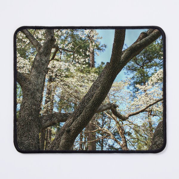 Item preview, The Flowering Dogwood designed and sold by SarahEL17.
