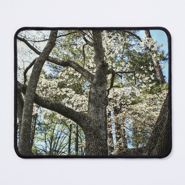 Item preview, Looking Up the Trunk designed and sold by SarahEL17.