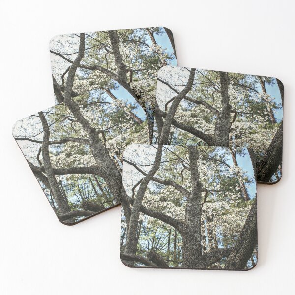 Item preview, Looking Up the Trunk designed and sold by SarahEL17.