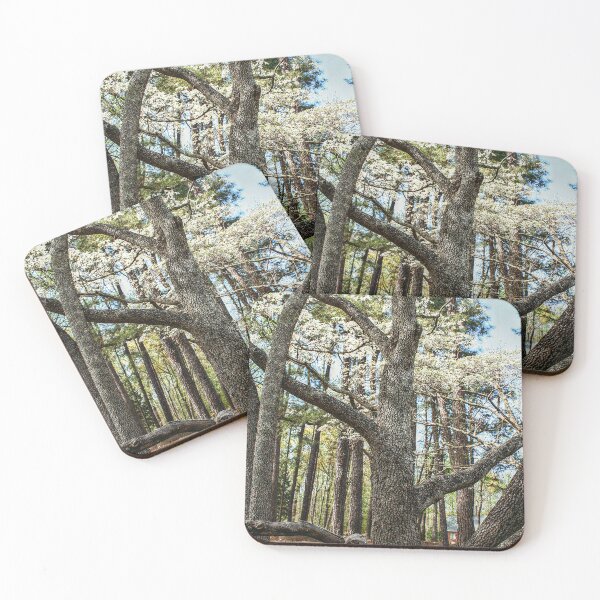 Item preview, Trunk of the Tree designed and sold by SarahEL17.